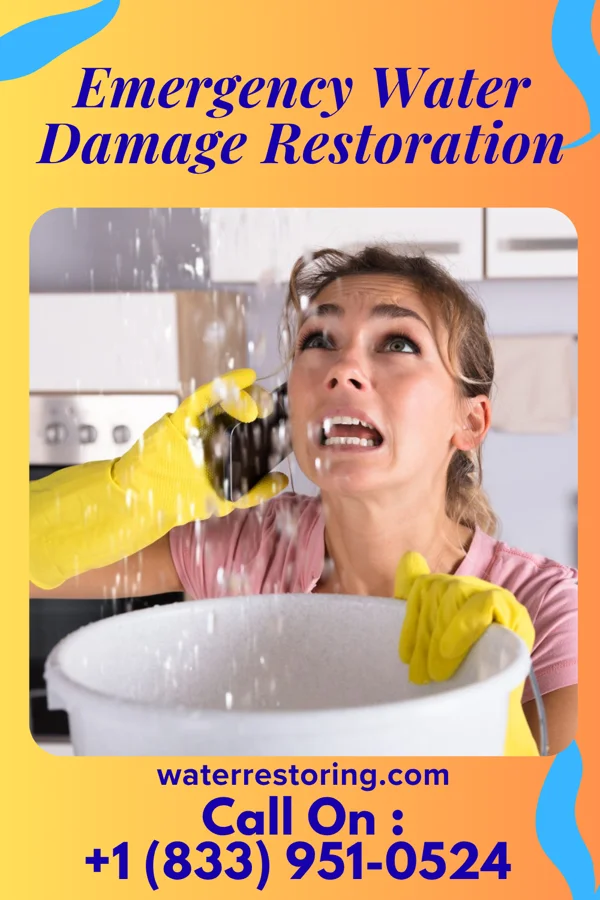 Emergency Water Damage Restoration in Big Rock, IA