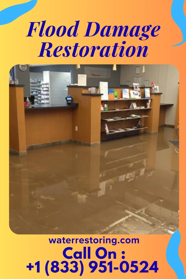 Flood Damage Restoration in Big Rock, IA