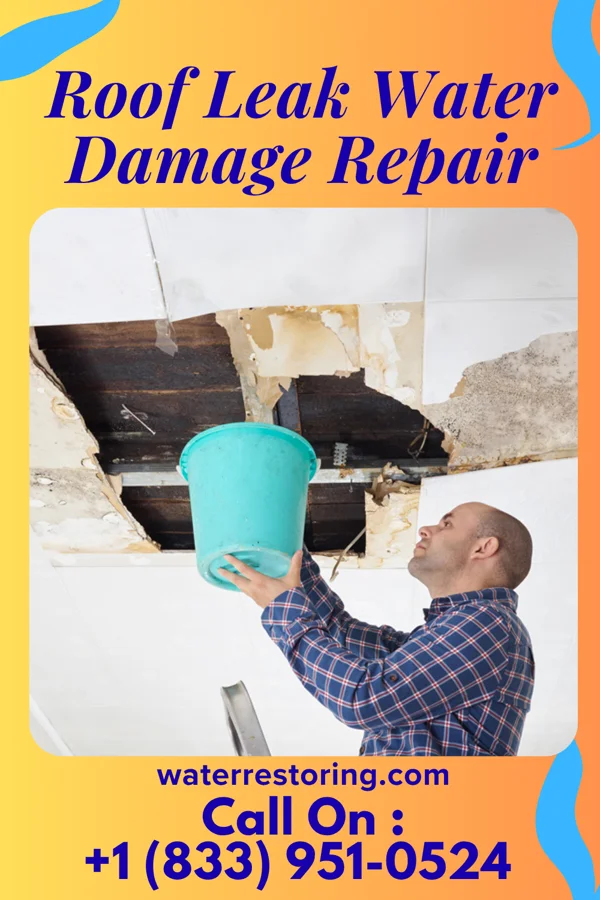 Roof Leak Water Damage Repair in Big Rock, IA