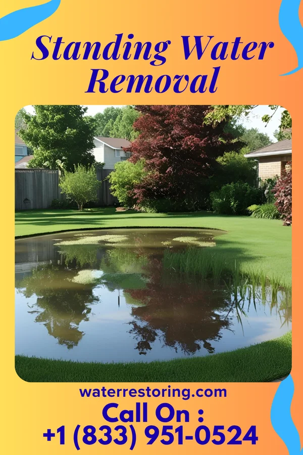 Standing Water Removal in Big Rock, IA